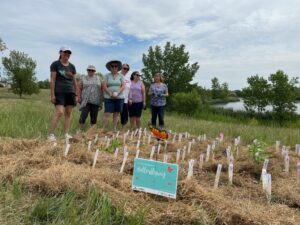 N-4 David Suzuki Foundation Butterflyway Project