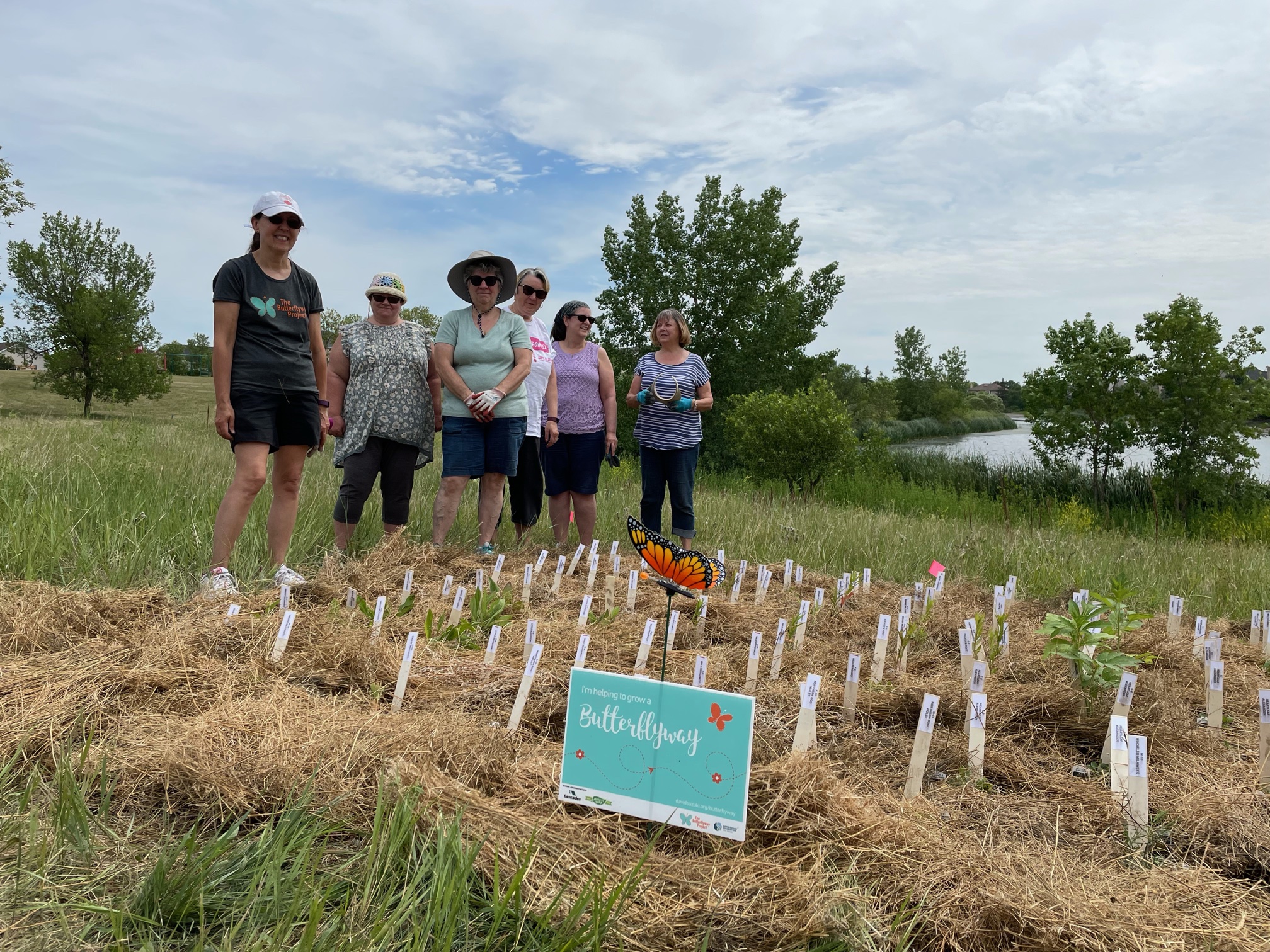 N-4 David Suzuki Foundation Butterflyway Project